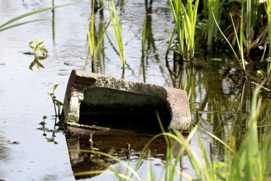 Abgerissener Brutkasten Patershäuser Wiesen Heusenstamm 2021