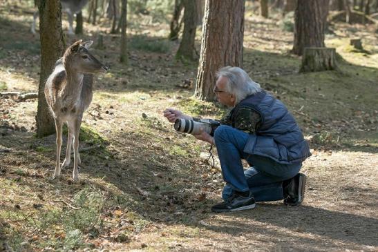 Damhirschkuh mit Wolfgang Daum - Foto Hajo Kuhlmann © - Wildpark Alte Fasanerie Klein Auheim 2017