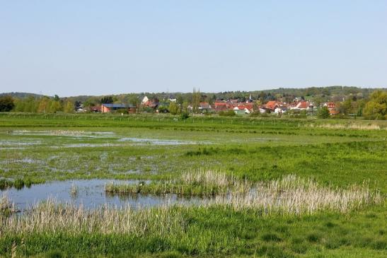 NSG Bingenheimer Ried  Biotop Kerngebiet Wetterau 2016