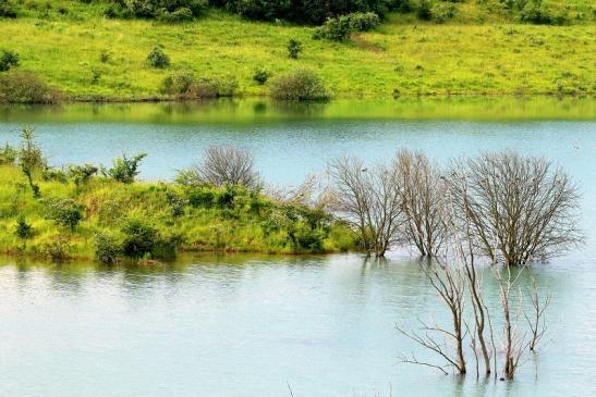 Teufelsee Biotop Bingenheimer Ried Wetterau 2016