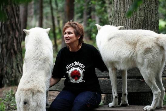 Tundrawolf Ayla, Khan und Scott Wildpark Alte Fasanerie Klein Auheim 2014