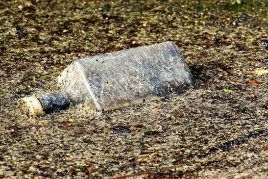 Umweltverschmutzung am Finkensee Rodgau Jügesheim 2021