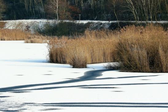 Winter im NSG See am Goldberg Heusenstamm 2016